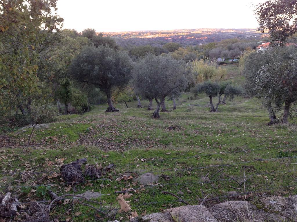 הוילה Marvão Refugio Da Maceira חדר תמונה