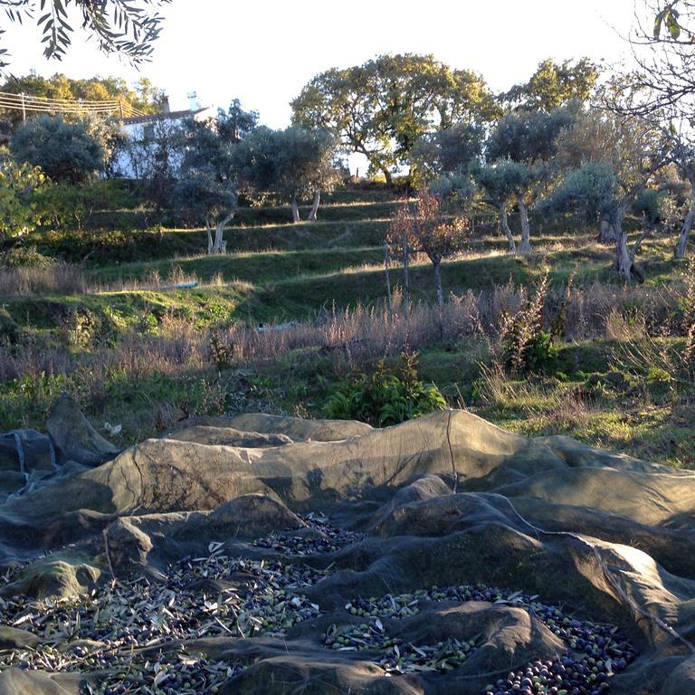 הוילה Marvão Refugio Da Maceira חדר תמונה