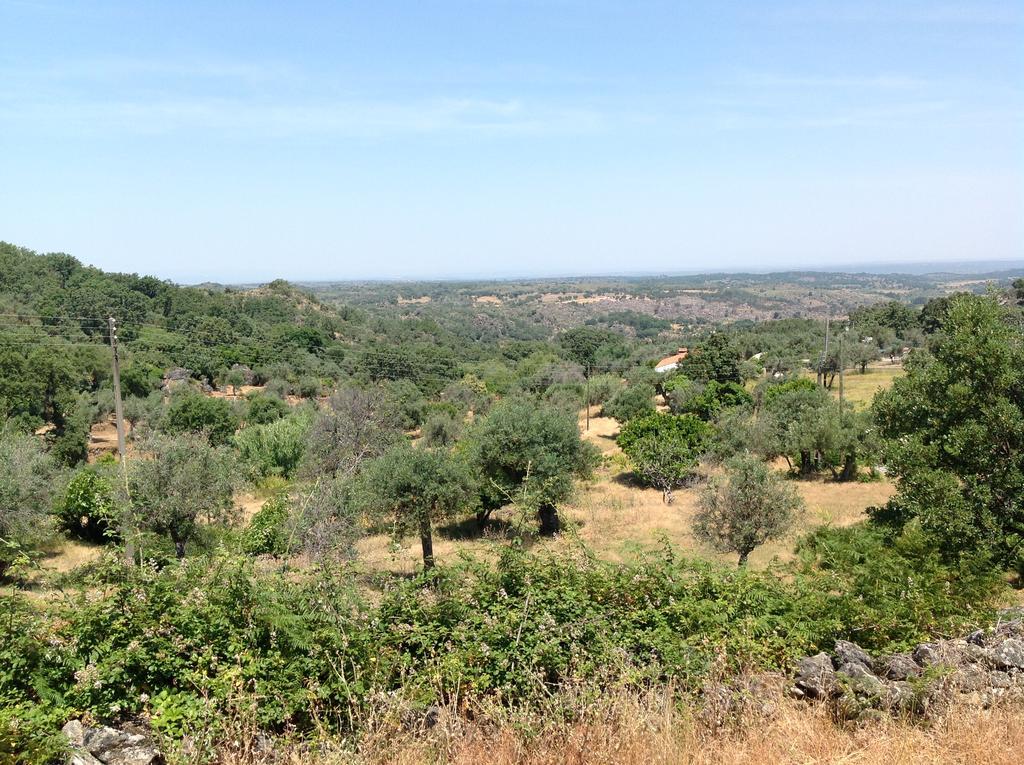 הוילה Marvão Refugio Da Maceira מראה חיצוני תמונה